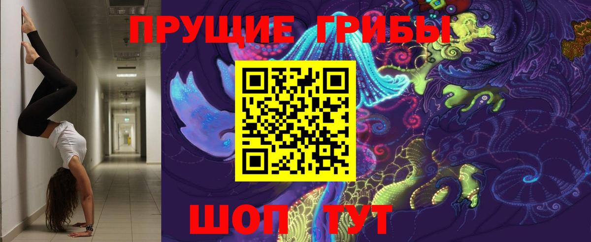 Псилоцибиновые грибы мухоморы Михайловка